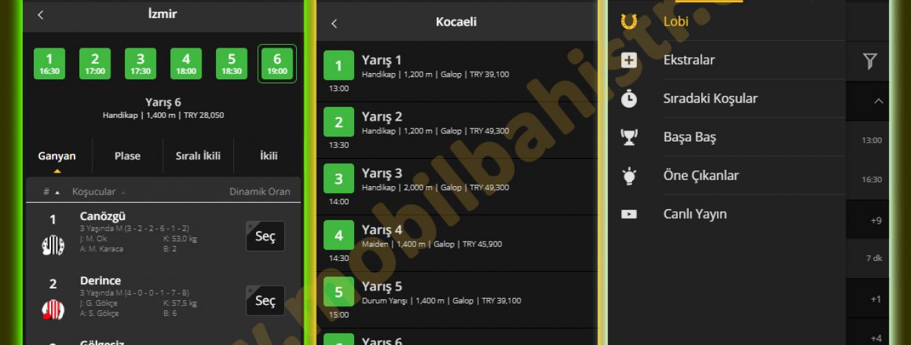28 Kasım Adana ve Kocaeli At Yarışları Tahminleri